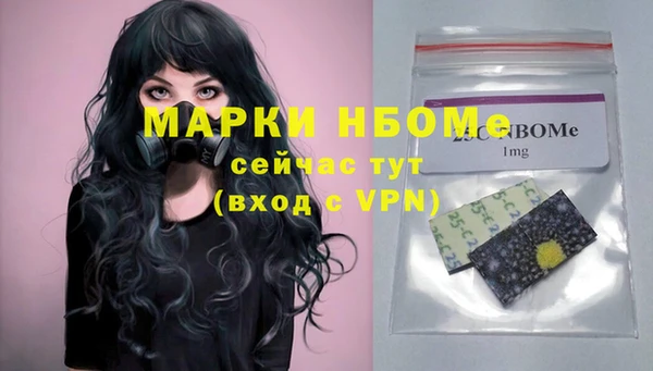 дмт Пестово