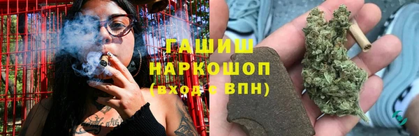 дмт Пестово