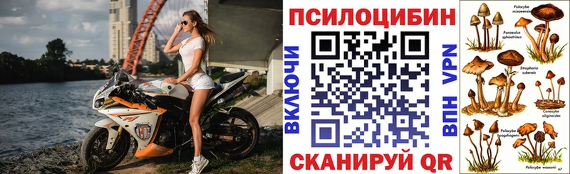 Псилоцибиновые грибы Magic Shrooms  Баксан 