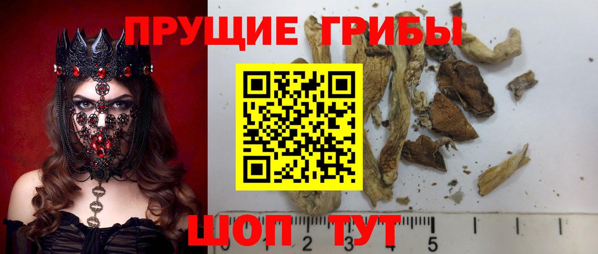 Псилоцибиновые грибы MAGIC MUSHROOMS Баксан